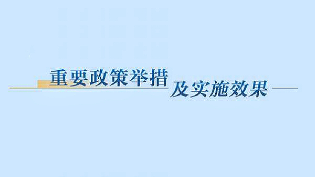 重要政策举措及实施效果